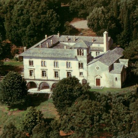 Gite Au Chateau Cagninacci San-Martino-di-Lota Buitenkant foto